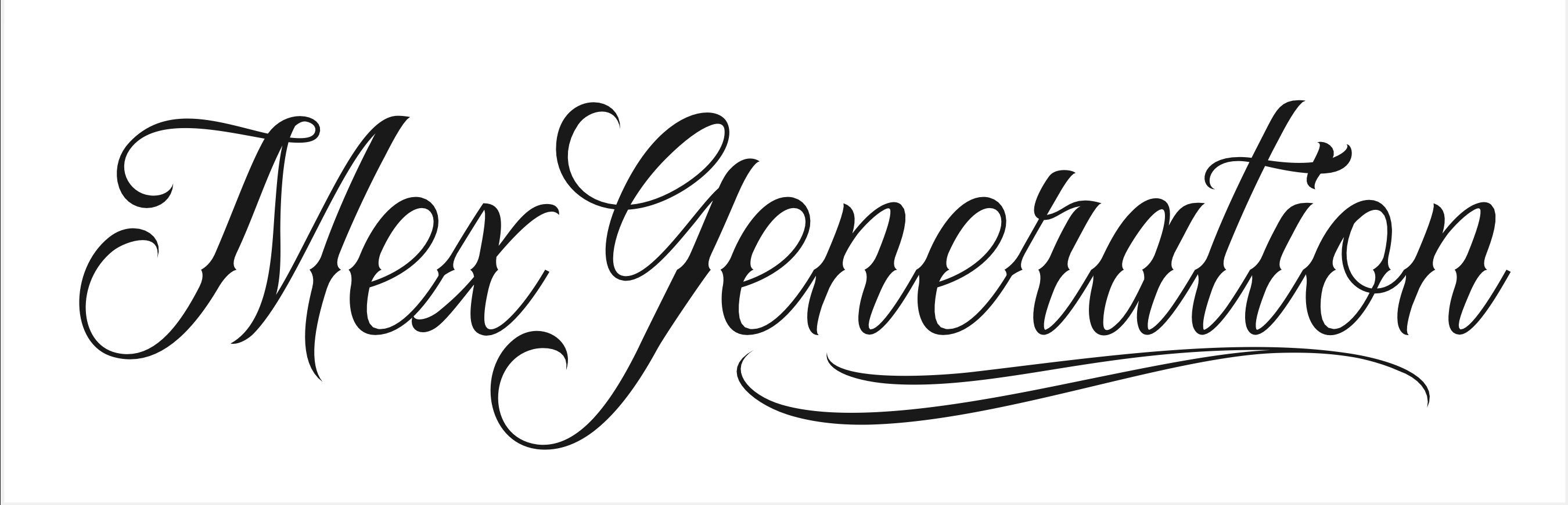 Mex Generation LLC